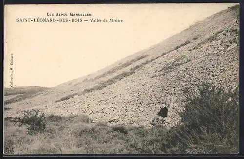 AK Saint-Léonard-des-Bois, Vallée de Misère dans les Alpes Mancelles