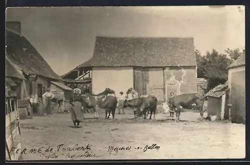 AK Mezieres-sur-Ponthouin, Ferme de Touberte