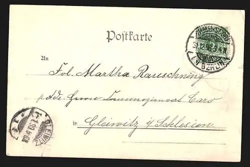 Präge-AK Jahreszahl 1899 auf Kleeblatt, Glückwunsch