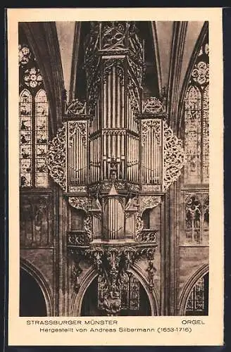 AK Strassburg, Orgel im Münster