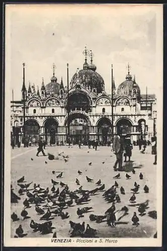 AK Venezia, Piccioni a S. Marco