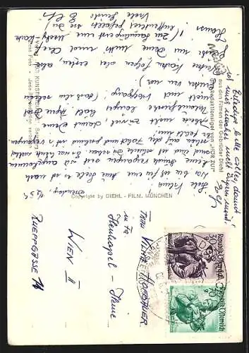 AK Igel Mecki beobachtet Spinne im Netz