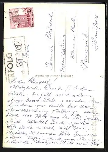 AK Mecki inmitten von blauen Blumen