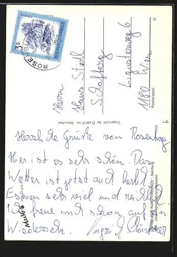 AK Der Herr im Haus, Mecki beim Putzen