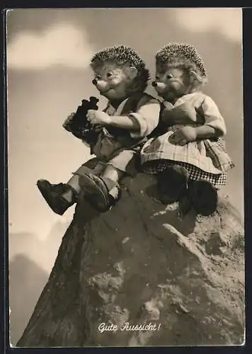 AK Warum denn auf die Spitze treiben?, Mecki mit Fernglas und Frau auf einem Felsen