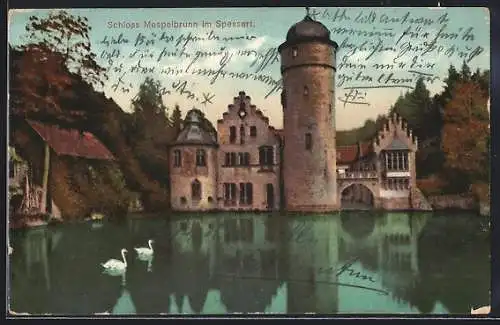 AK Mespelbrunn /Spessart, Schloss mit Schwänen