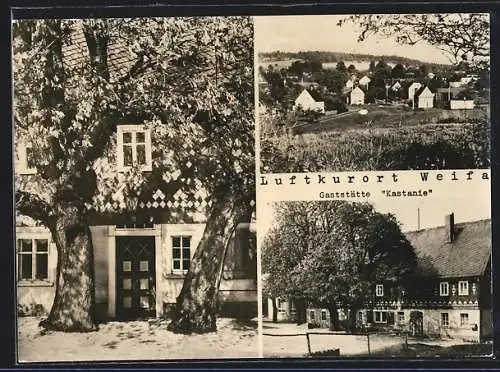 AK Weifa, Gasthaus Kastanie und Ortsansicht