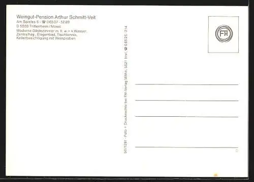 AK Trittenheim /Mosel, Gasthaus Arthur Schmitt-Veit, Am Spieles 6