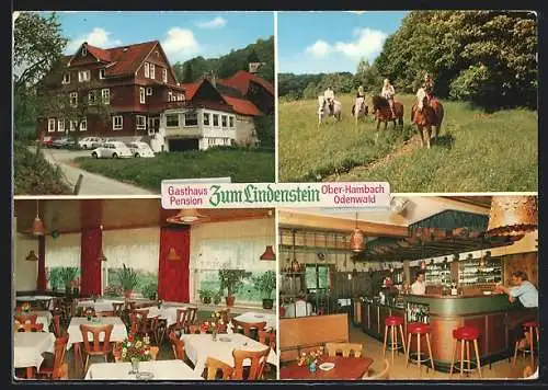 AK Ober-Hambach, Gasthaus-Pension Zum Lindenstein mit Bar, Speiseraum & Ponyreiten