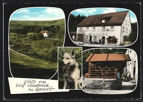 AK Eschau über Aschaffenburg, Gasthaus Hof Hunsrück, Ansicht von der Ferne und Schäferhund