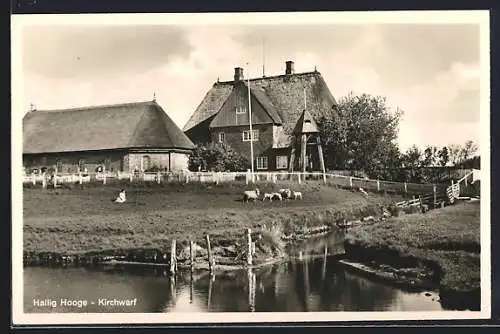 AK Hallig Hooge, Blick auf die Kirchwarf