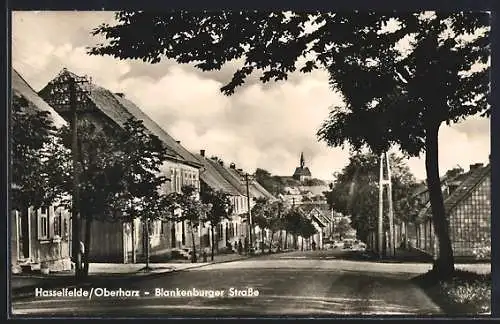 AK Hasselfelde, An der Blankenburger Strasse