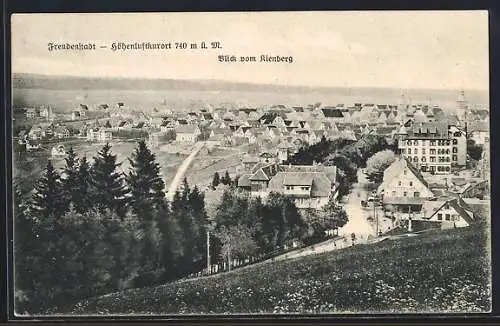 AK Freudenstadt, Blick vom Kienberg auf den Ort