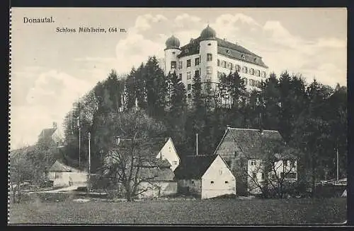 AK Mühlheim a. D., Schloss im Donautal