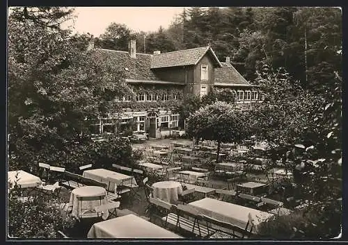 AK Blankenburg /Harz, Hotel Waldfrieden, Sitze im Garten