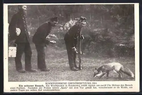 AK Schweizer Grenzbeamte mit seltenem Besuch - einem Fuchs