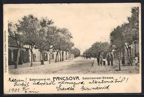 AK Pancsova, Sztarcsovaer-Strasse mit Anwohnern