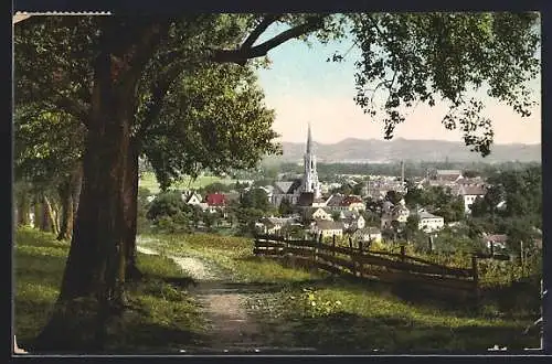 AK Bad Hall /Ob.-Oest., Ortsansicht von einen Weg aus