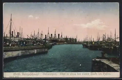 AK Westlicher Kriegschauplatz, Antwerpen, Blick in eines der vielen Docks im Hafen