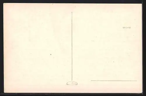 AK Trieste, Molo Audace, Hafen