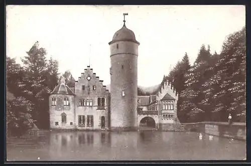 AK Mespelbrunn, Blick auf das Schloss