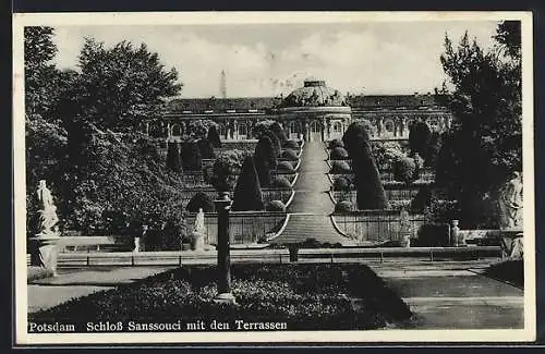 AK Potsdam, Schloss Sanssouci mit den Terrassen