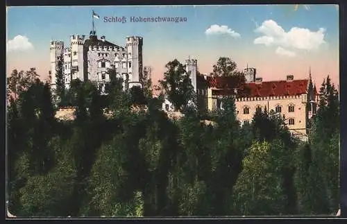 AK Hohenschwangau, Blick zum Schloss Hohenschwangau