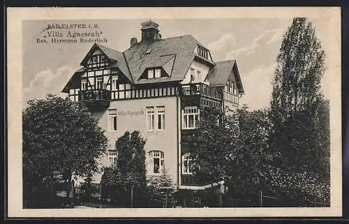 AK Bad Elster i. S., Hotel Villa Agnesruh