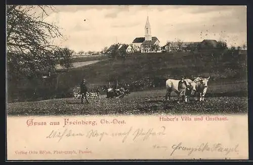 AK Freinberg /Ob.-Oest., Hubers Villa und Gasthaus und Bauern mit Ochsen