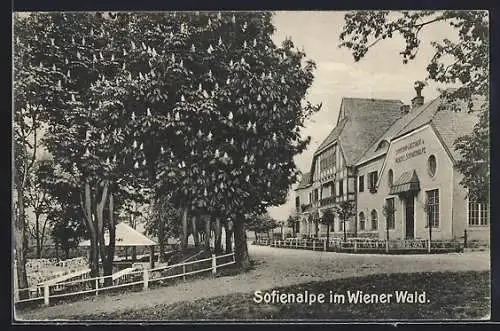 AK Wien, Gasthof Sofienalpe im Wiener Wald