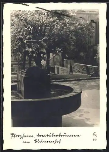 AK Pforzheim, Dreitälerbrunnen im Blumentopf