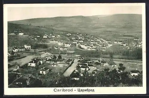 AK Caribrod, Panorama mit Strassenpartie