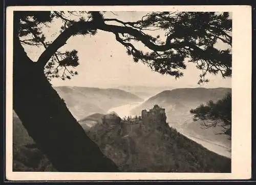 AK Aggstein /Wachau, Blick auf die Ruine Aggstein