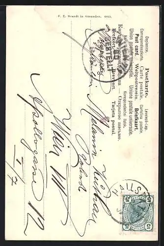 AK Hallstatt, Ortsansicht aus der Vogelschau