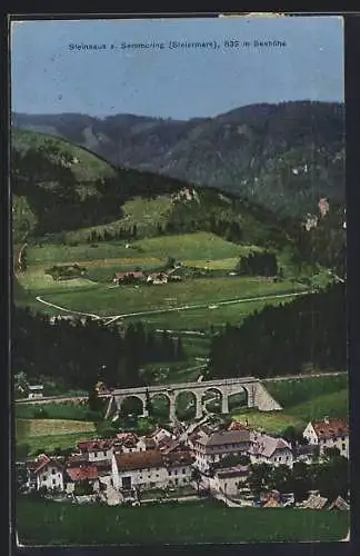 AK Steinhaus a. Semmering, Ortsansicht aus der Vogelschau