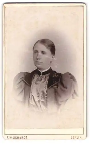 Fotografie F.W. Schmidt, Berlin, Wasserthorstrasse 56, Portrait einer Frau mit elegantem Kleid