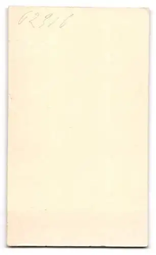 Fotografie Atelier Wertheim, Berlin, Oranienstr., Porträt einer jungen Frau