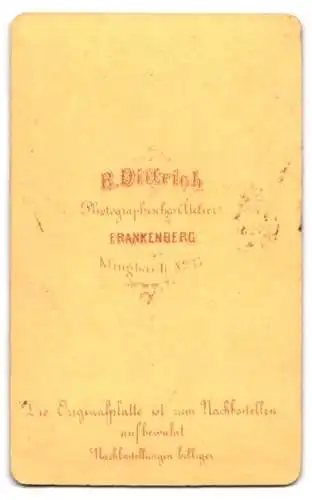 Fotografie R. Dittrich, Frankenberg, Klingbach Nr. 35, Porträt einer Dame