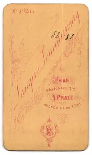 Fotografie Langer &amp Pommerrenig, Prag, Obstgasse 372 I, Porträt einer Dame