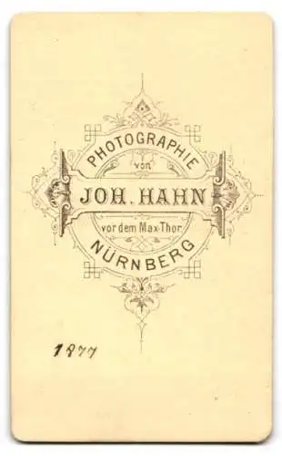 Fotografie Joh. Hahn, Nürnberg, vor dem Max-Thor, Porträt eines Mannes mit Bart