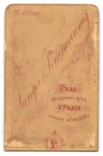 Fotografie Langer & Pommerrenig, Prag, Obstgasse 372 I, Elegantes Paar