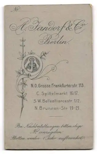 Fotografie A. Jandorf &amp Co., Berlin, Grosse Frankfurterstr. 113, Porträt eines Herrn mit Schnurrbart