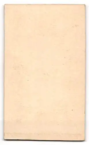 Fotografie A. Spitzer, Cottbus, Kaiser Friedrich Str. 26, Dame in elegantem Kleid mit Stuhl