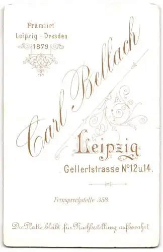 Fotografie Carl Bellach, Leipzig, Gellertstrasse 12, Zwei Kinder auf einer Steinbalustrade