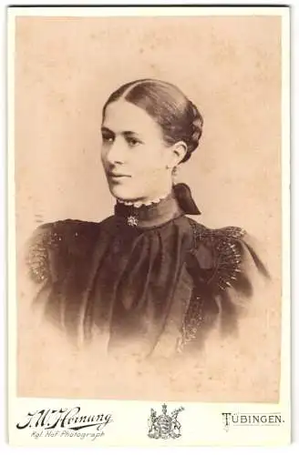 Fotografie J.W. Hornung, Tübingen, Uhlandstrasse 11, Portrait einer Frau in elegantem Kleid