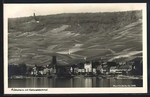 AK Rüdesheim / Rhein, Ortsansicht mit Nationaldenkmal