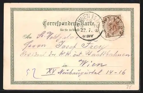 Lithographie Weyer / Enns, Bahnhof, Marktplatz, Ennsbrücke