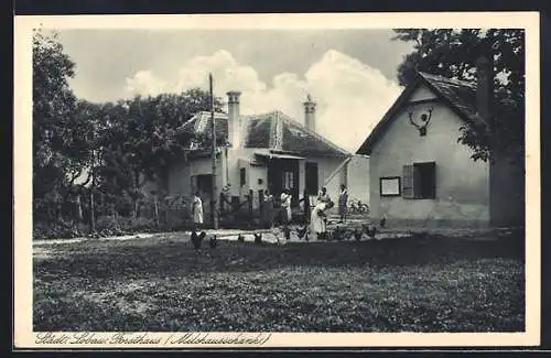 AK Wien, Städt. Lobau, Restaurant Forsthaus, Milchausschank