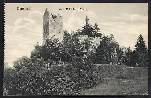 AK Buchheim / Messkirch, Ruine Kallenberg