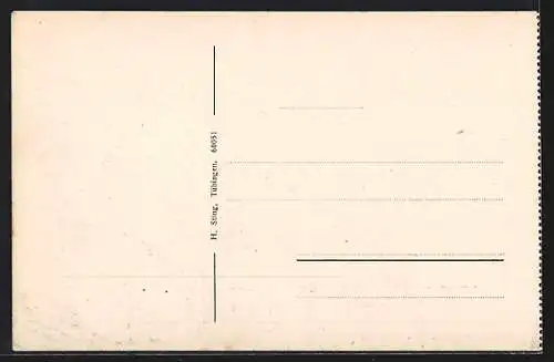AK Buchheim / Messkirch, Ruine Kallenberg